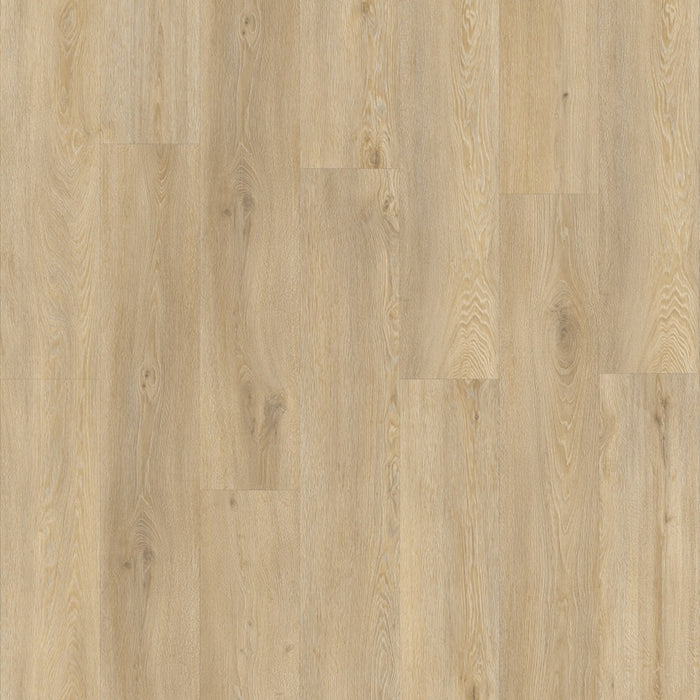 Moduleo Roots Galtymore Oak