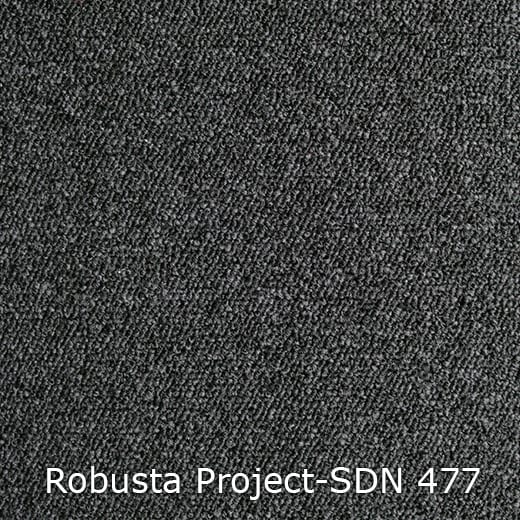 Interfloor Robusta Project SDN