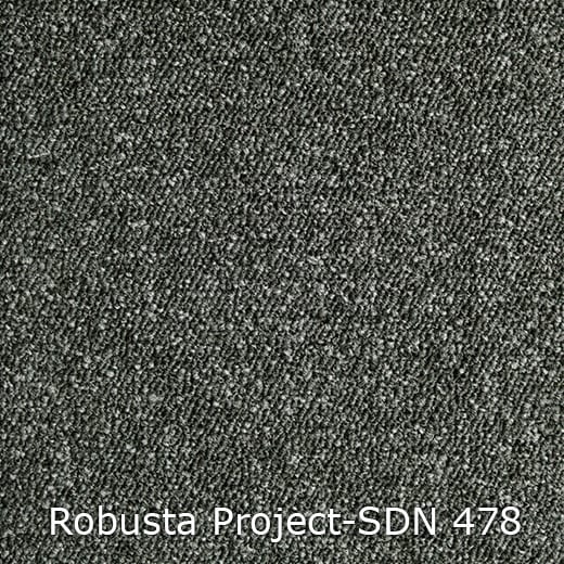 Interfloor Robusta Project SDN