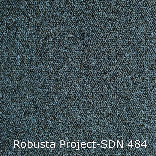 Interfloor Robusta Project SDN