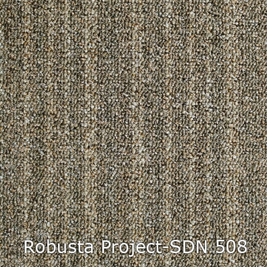 Interfloor Robusta Project SDN